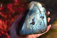 Labradorite Freeform