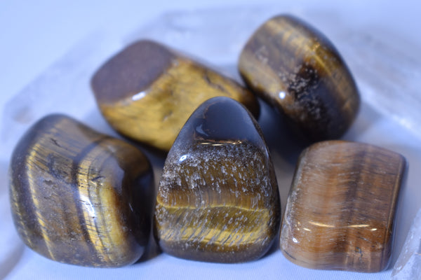 Tiger's Eye Tumbled Stones